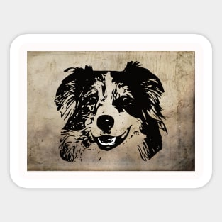 Australian Shepherd Sticker